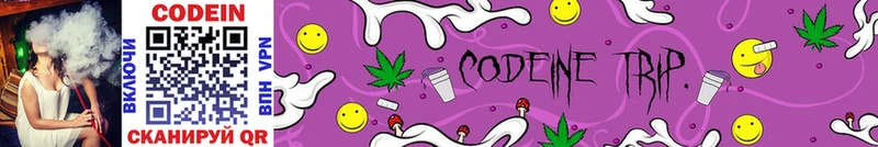 Кодеин Purple Drank  Купить где  Горно-Алтайск 