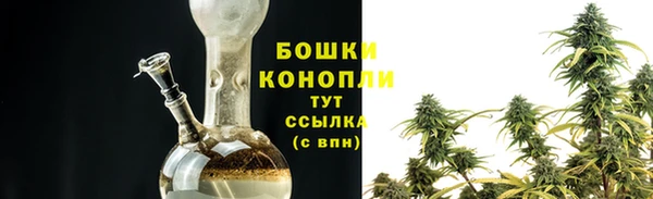apvp Белокуриха