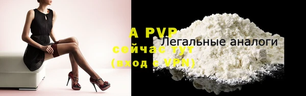apvp Белокуриха