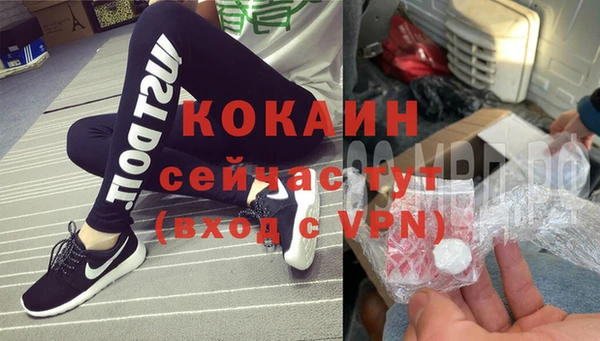 apvp Белокуриха