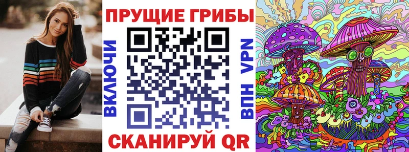 Галлюциногенные грибы Cubensis  Купить закладки  Горно-Алтайск 